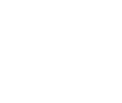 Helvetic Broker logo with name